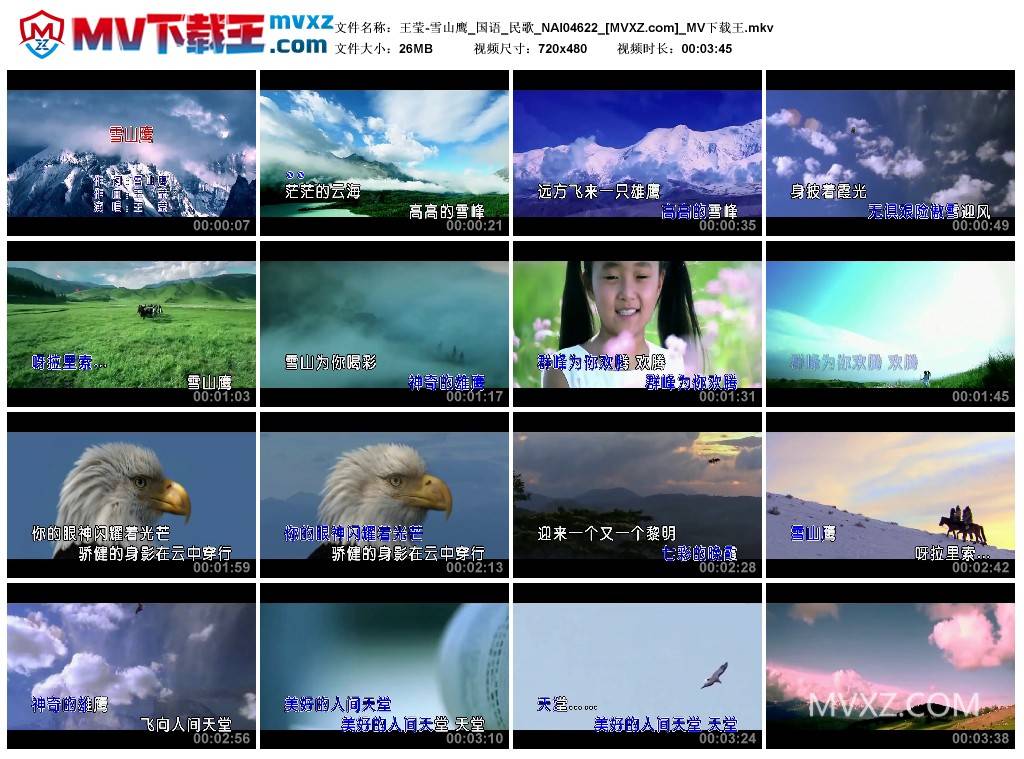 王莹-雪山鹰_国语_民歌_NAI04622